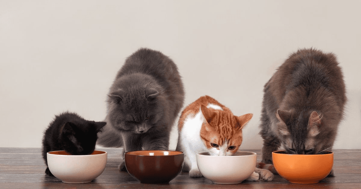 We Analyzed 200 Pet Foods with Voyage AI Vet — Here's What We Found