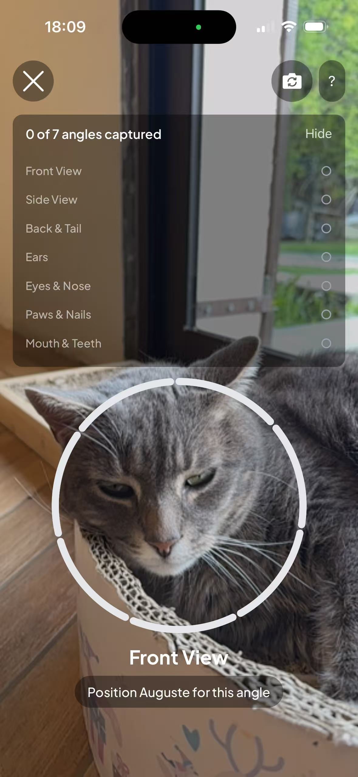 Your Pet's Monthly Physical