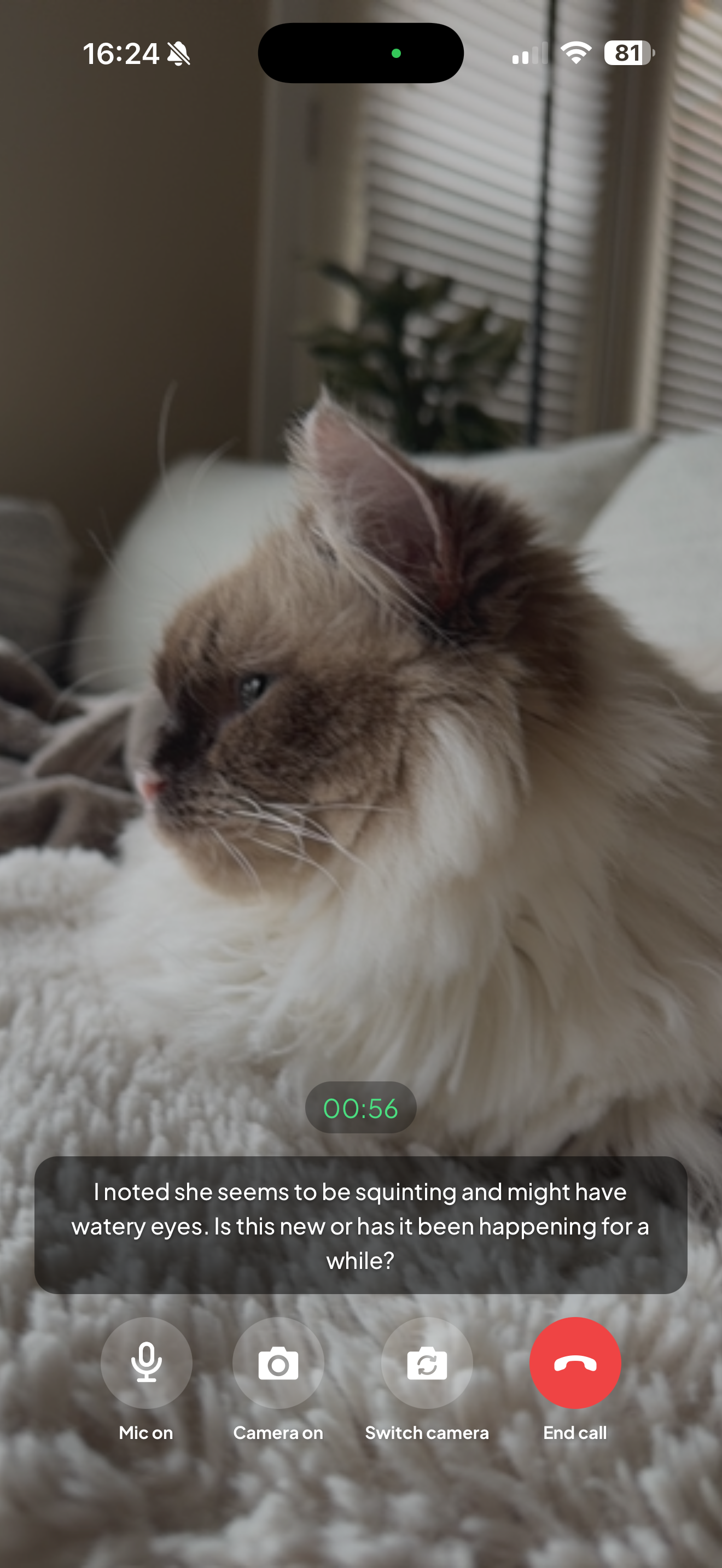 See It. Scan It. Know It.