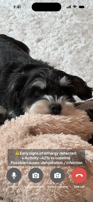 Voyage Live AI Vet Video Call